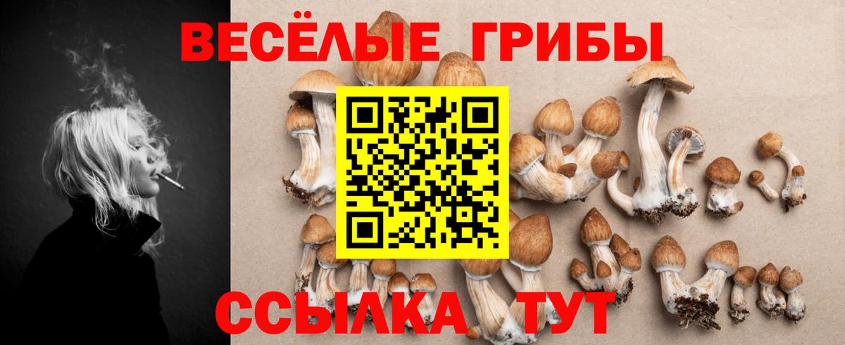 Галлюциногенные грибы Magic Shrooms Калуга